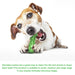 Durable Teeth Cleaning Rubber Chew Pet Toy For Aggressive