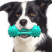 Durable Teeth Cleaning Rubber Chew Pet Toy For Aggressive