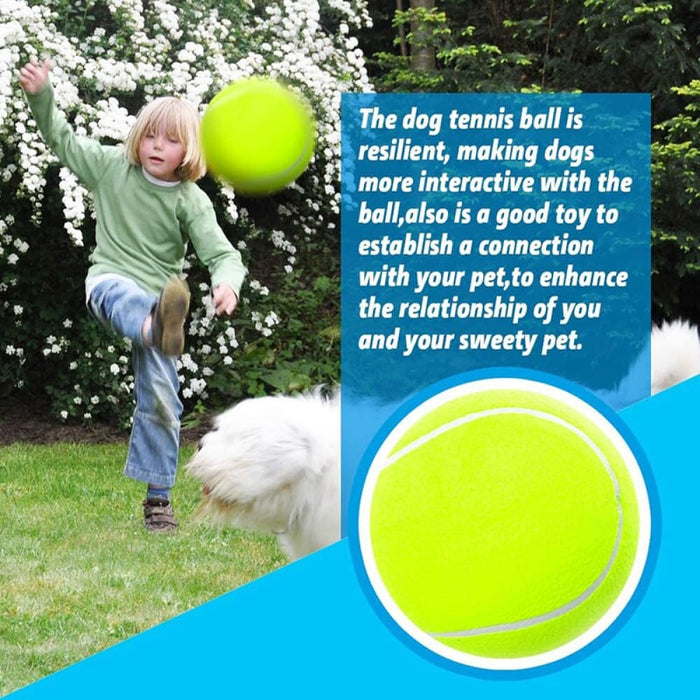 Durable Non-toxic Inflatable Big Tennies Ball For Small