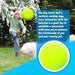 Durable Non-toxic Inflatable Big Tennies Ball For Small