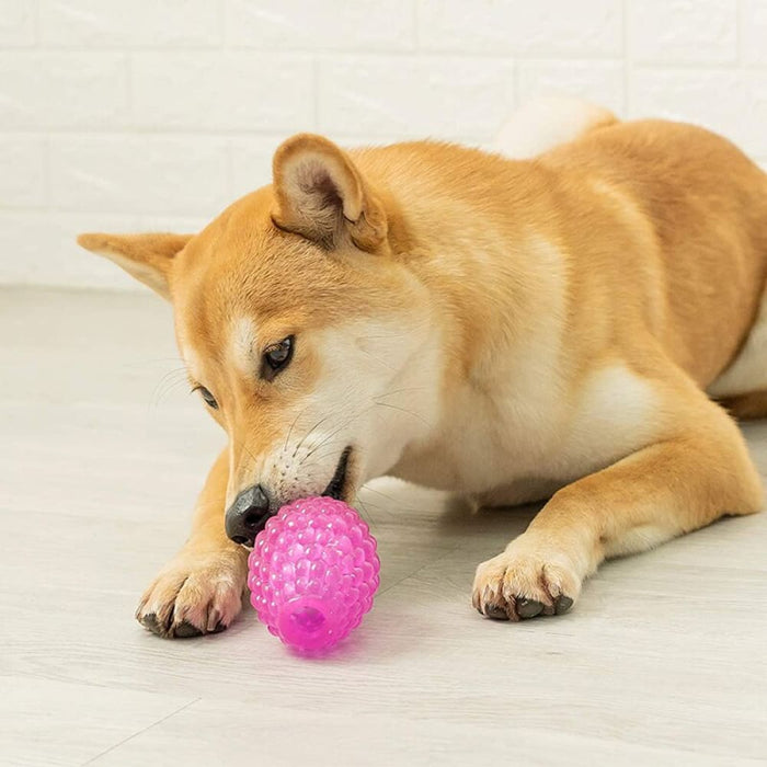 Durable Treat Dispensing Bouncy Pet Chew Ball