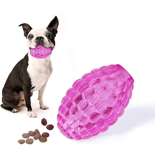 Durable Treat Dispensing Bouncy Pet Chew Ball