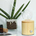 Efficient 20ml Glass Oil Diffuser For Home