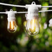 Goslash Picks 86m Led Festoon Light Outdoor String