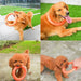 Flexible Floating Non-toxic Flying Discs Dog Chew Toy