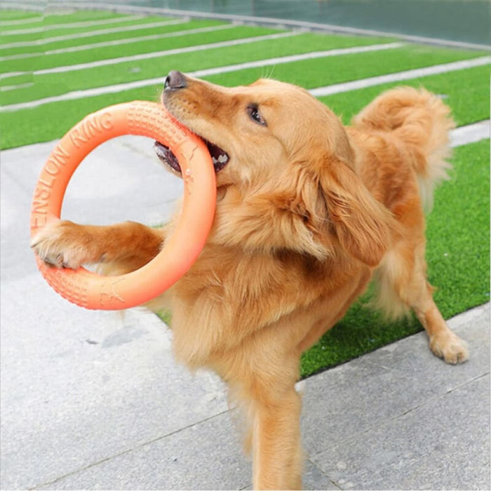 Flexible Floating Non-toxic Flying Discs Dog Chew Toy