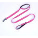 Flexible Leash For Large Dogs 8 Colour Options