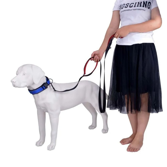 Flexible Leash For Large Dogs 8 Colour Options