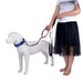 Flexible Leash For Large Dogs 8 Colour Options