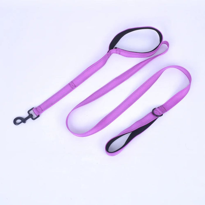 Flexible Leash For Large Dogs 8 Colour Options