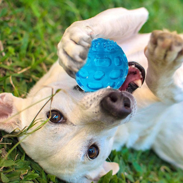 Floatable Squeaker Sound Dog Ball Toy For Small Medium