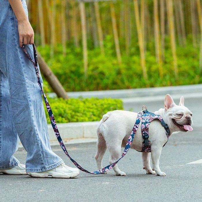 Floral Design Padded Handle Pet Leash