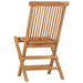 Folding Garden Chairs 2 Pcs Solid Teak Wood Aokkt