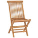 Folding Garden Chairs 2 Pcs Solid Teak Wood Aokkt