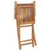 Folding Garden Chairs 2 Pcs Solid Teak Wood Topoba