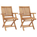 Folding Garden Chairs 2 Pcs Solid Teak Wood Topoba