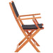 Folding Garden Chairs 4 Pcs Black Solid Eucalyptus Wood