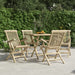 Folding Garden Chairs 4 Pcs Grey 56x61x89 Cm Solid Wood