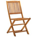 Folding Outdoor Chairs 4 Pcs Solid Acacia Wood Altab