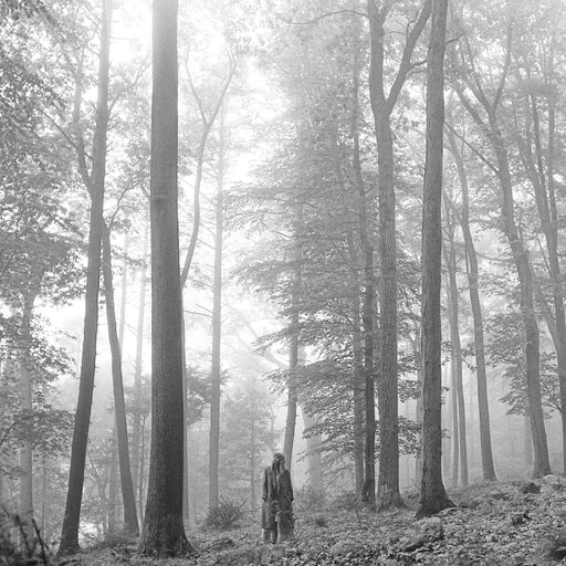 Folklore In The Trees Double Vinyl Album