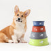 Eco-friendly Anti-slip Bottom Food Drinking Water Pet