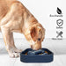 Eco-friendly Durable Slow Feeder Dog Bowl Preventing