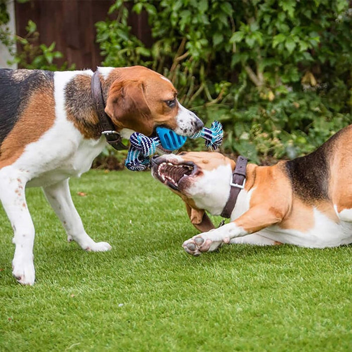 Eco-friendly Quality Pet Rope Chew Ball Toys For Puppies