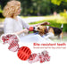 Eco-friendly Quality Pet Rope Chew Ball Toys For Puppies