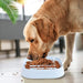 Eco-friendly Non-toxic Slow Eating Dog Bowl For Small