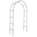 Garden Arch 2 Pcs Climbing Plants Abiil