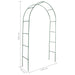 Garden Arch 2 Pcs Climbing Plants Abiil