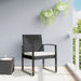 Garden Dining Chairs 2 Pcs Black Pp Rattan Tlbxbt