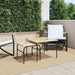 Garden Nest Of Coffee Tables 2 Pcs Brown And Black Steel