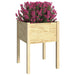 Garden Planter 50x50x70 Cm Solid Pinewood Nobikk