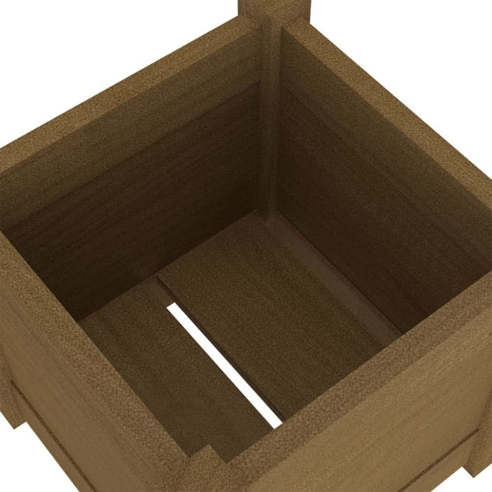 Garden Planter Honey Brown 31x31x31 Cm Solid Pinewood Nobpxn