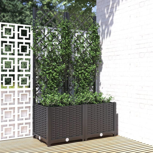 Garden Planter With Trellis Black 80x40x136 Cm Pp Tonxio