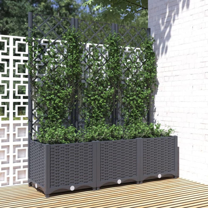 Garden Planter With Trellis Dark Grey 120x40x136 Cm Pp