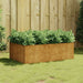 Garden Raised Bed 120x80x40 Cm Corten Steel Nxaptx