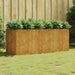 Garden Raised Bed 200x80x80 Cm Corten Steel Nxaptk