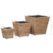 Garden Raised Beds 3 Pcs Water Hyacinth Appio