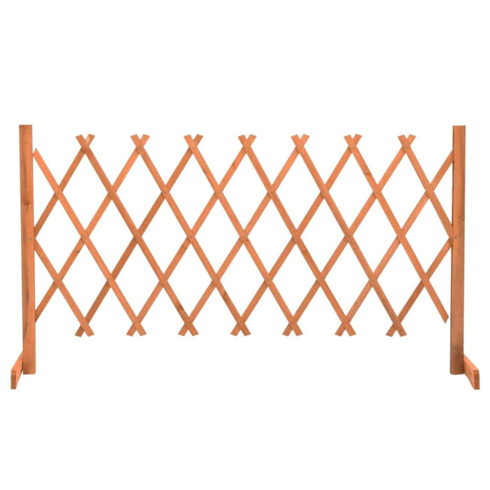 Garden Trellis Fence Orange 150x80 Cm Solid Firwood Toanxl