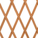 Garden Trellis Fence Orange 180x100 Cm Solid Firwood Toanxn