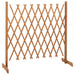 Garden Trellis Fence Orange 180x100 Cm Solid Firwood Toanxn