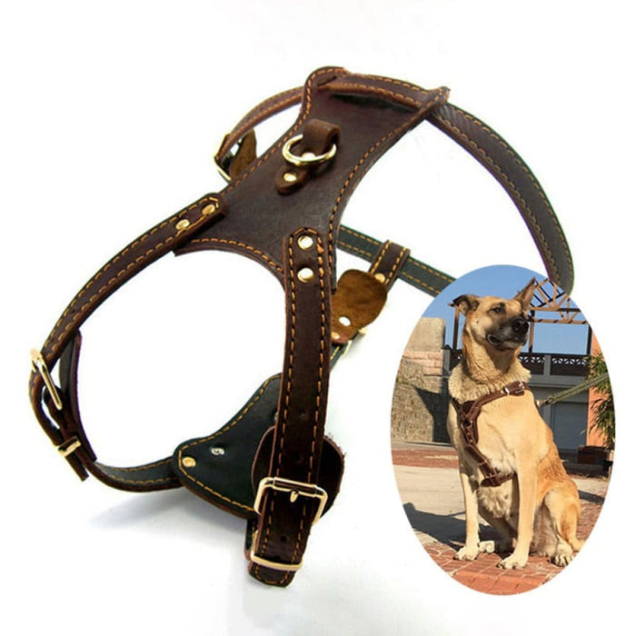 Genuine Leather Dog Harness For Big Dogs