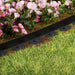 Goslash Picks Garden Edging 5cm x 10m Border Support