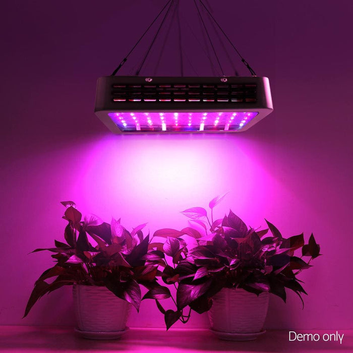 Green Fingers 1000w Led Grow Light Full Spectrum