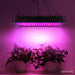 Goslash Picks Green Fingers 2000w Led Grow Light Full