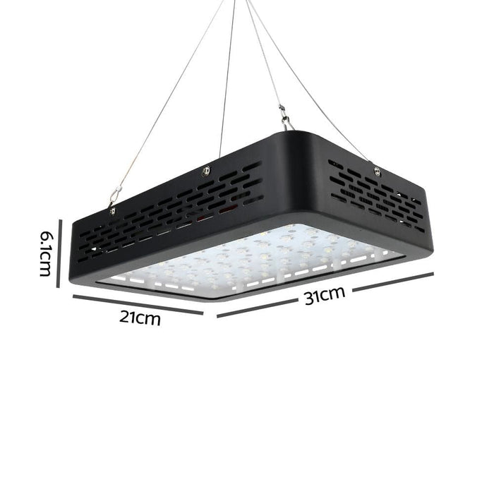 Green Fingers 600w Led Grow Light Full Spectrum