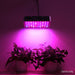 Green Fingers 600w Led Grow Light Full Spectrum