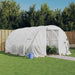 Greenhouse With Steel Frame White 12 M² 4x3x2 m Tonnbpb